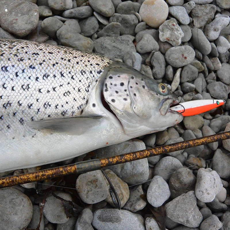 Westin Salty Lures
